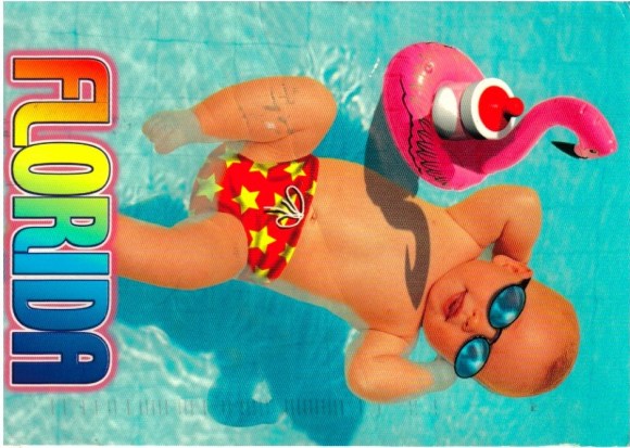 Seibles Postcard FRONT