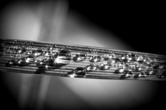 "Drop it like its Dew" by Danno Van Groll