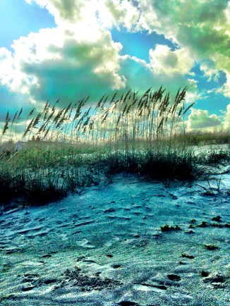 "A Perfect Day for Cloudfish" by Ann Leshy Wood