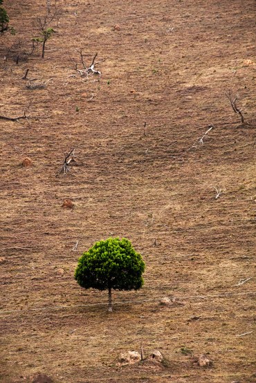 Guilherme_Bergamini_01