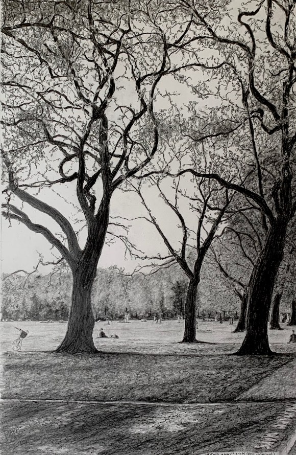 Hyde Park by Nicholas C Casciano