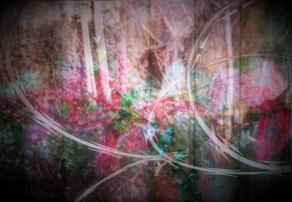 Original digital photographs that have been composed and edited in various programs. 