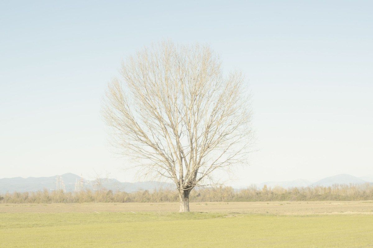 After the Locks are&nbsp;Changed